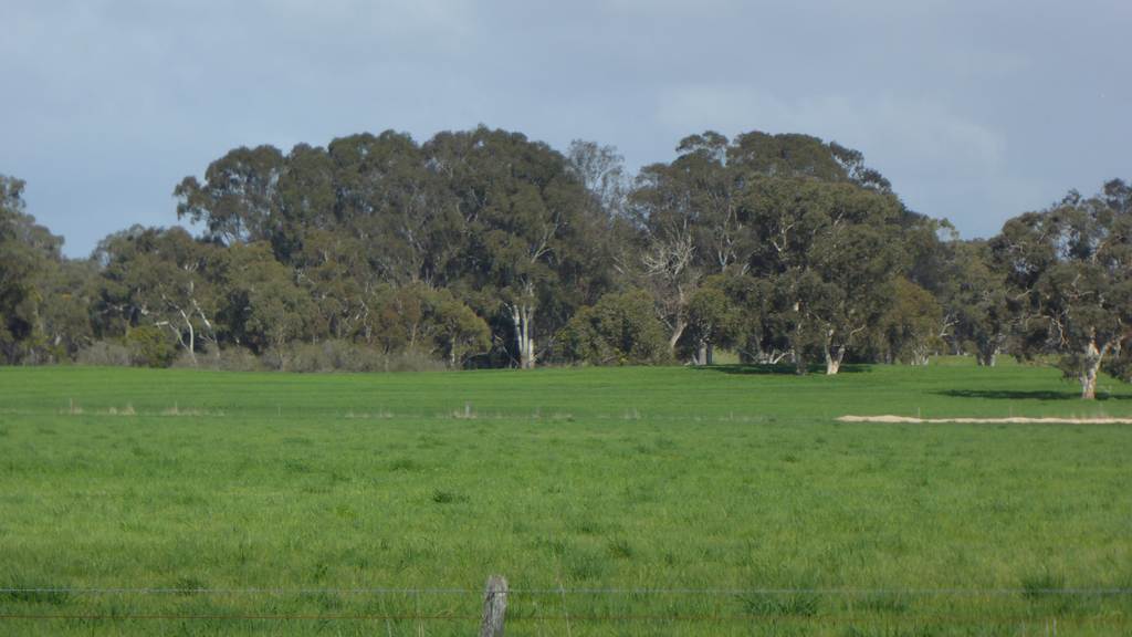 Lot 83 & 89 Walkington HIlls Road, Cadgee SA 5271
