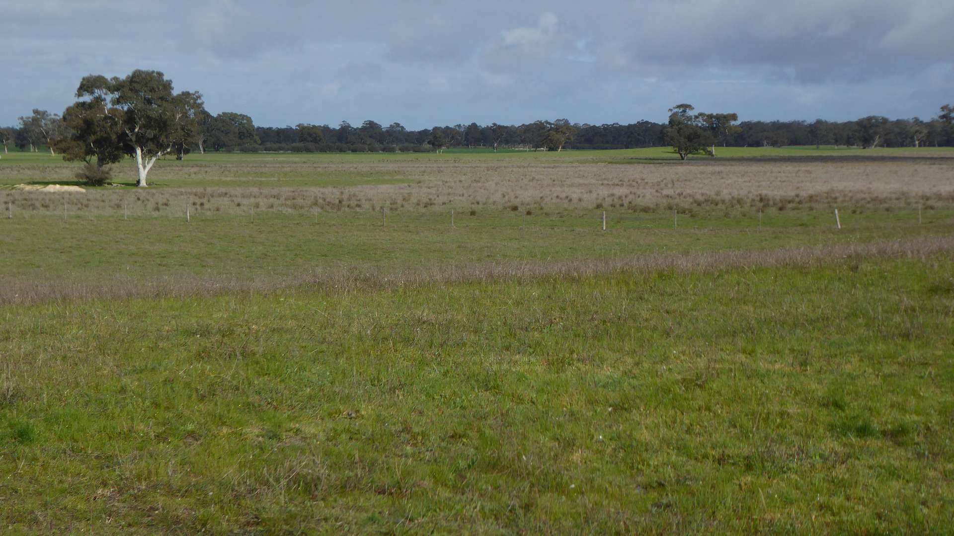 Lot 83 & 89 Walkington HIlls Road, Cadgee For Sale by Farmbuy.com - image 4