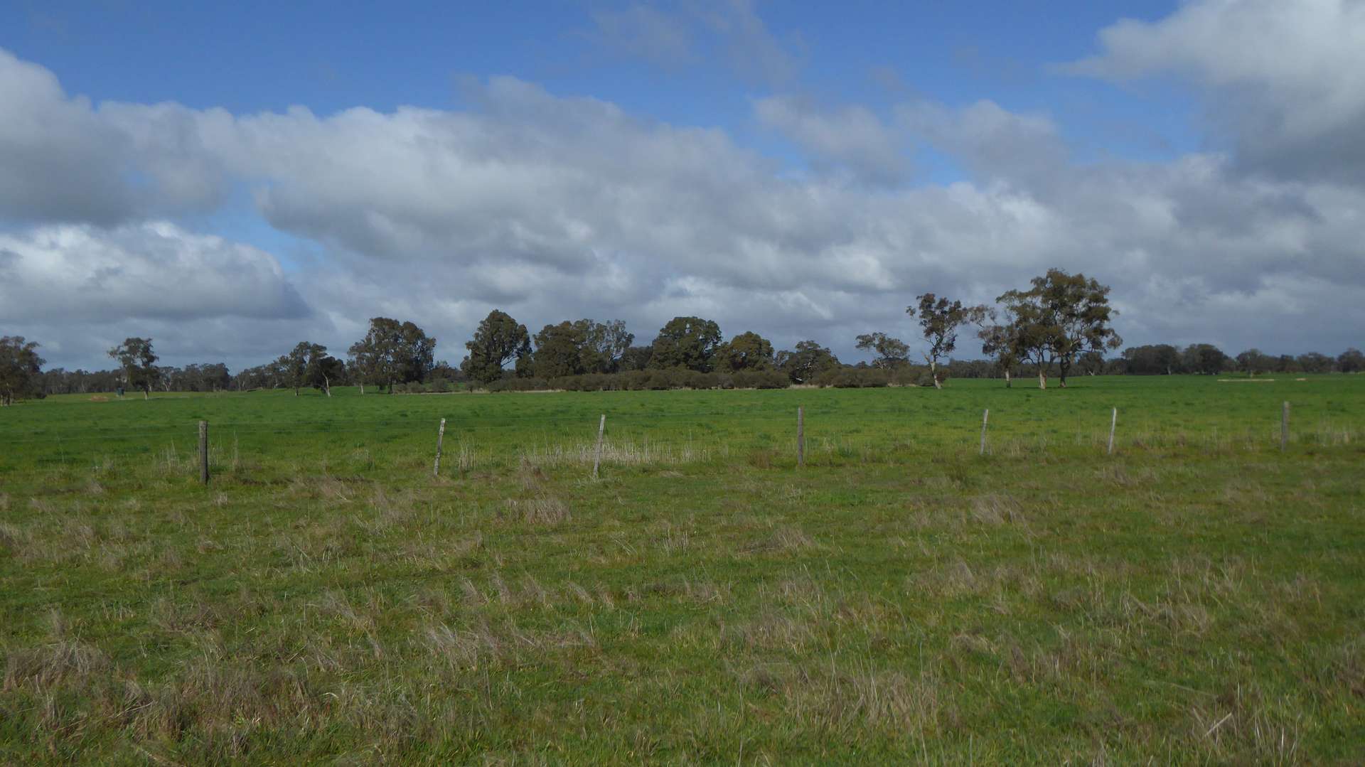 Lot 83 & 89 Walkington HIlls Road, Cadgee For Sale by Farmbuy.com - image 20