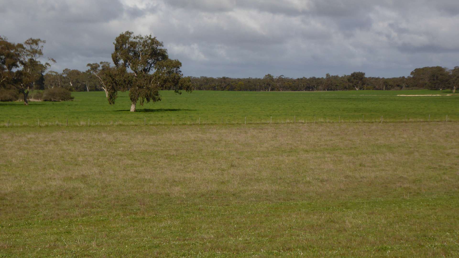 Lot 83 & 89 Walkington HIlls Road, Cadgee For Sale by Farmbuy.com - image 2