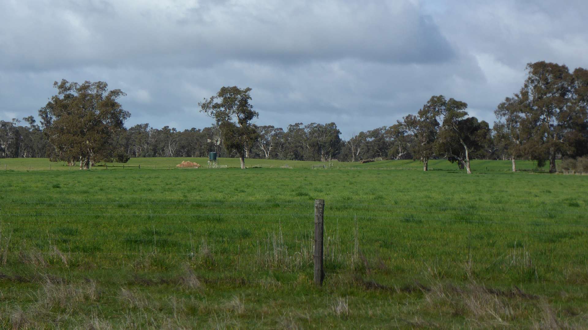 Lot 83 & 89 Walkington HIlls Road, Cadgee For Sale by Farmbuy.com - image 19