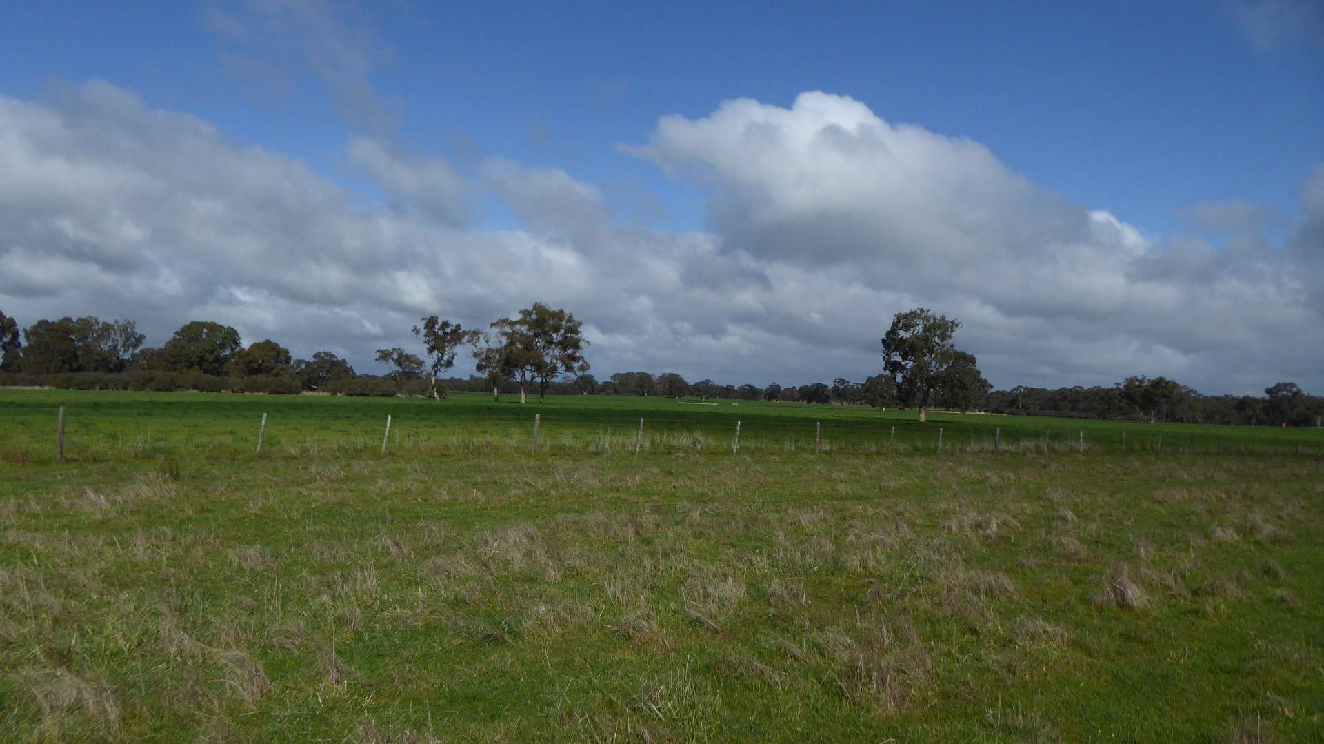 Lot 83 & 89 Walkington HIlls Road, Cadgee For Sale by Farmbuy.com - image 22