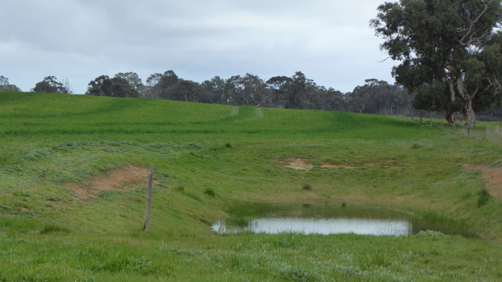 Lot 83 & 89 Walkington HIlls Road, Cadgee For Sale by Farmbuy.com - image 30