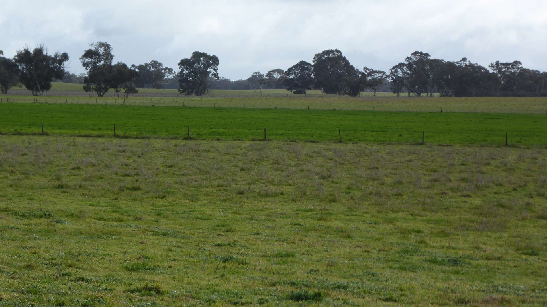 Lot 83 & 89 Walkington HIlls Road, Cadgee For Sale by Farmbuy.com - image 13