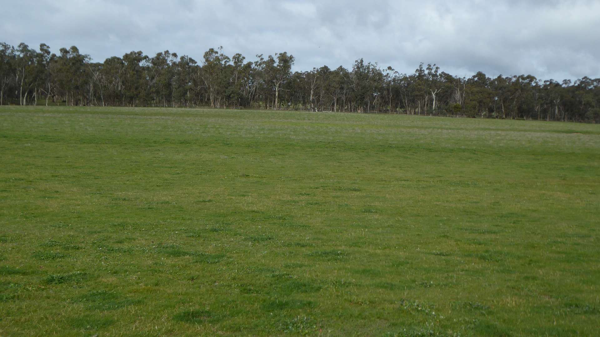 Lot 83 & 89 Walkington HIlls Road, Cadgee For Sale by Farmbuy.com - image 17