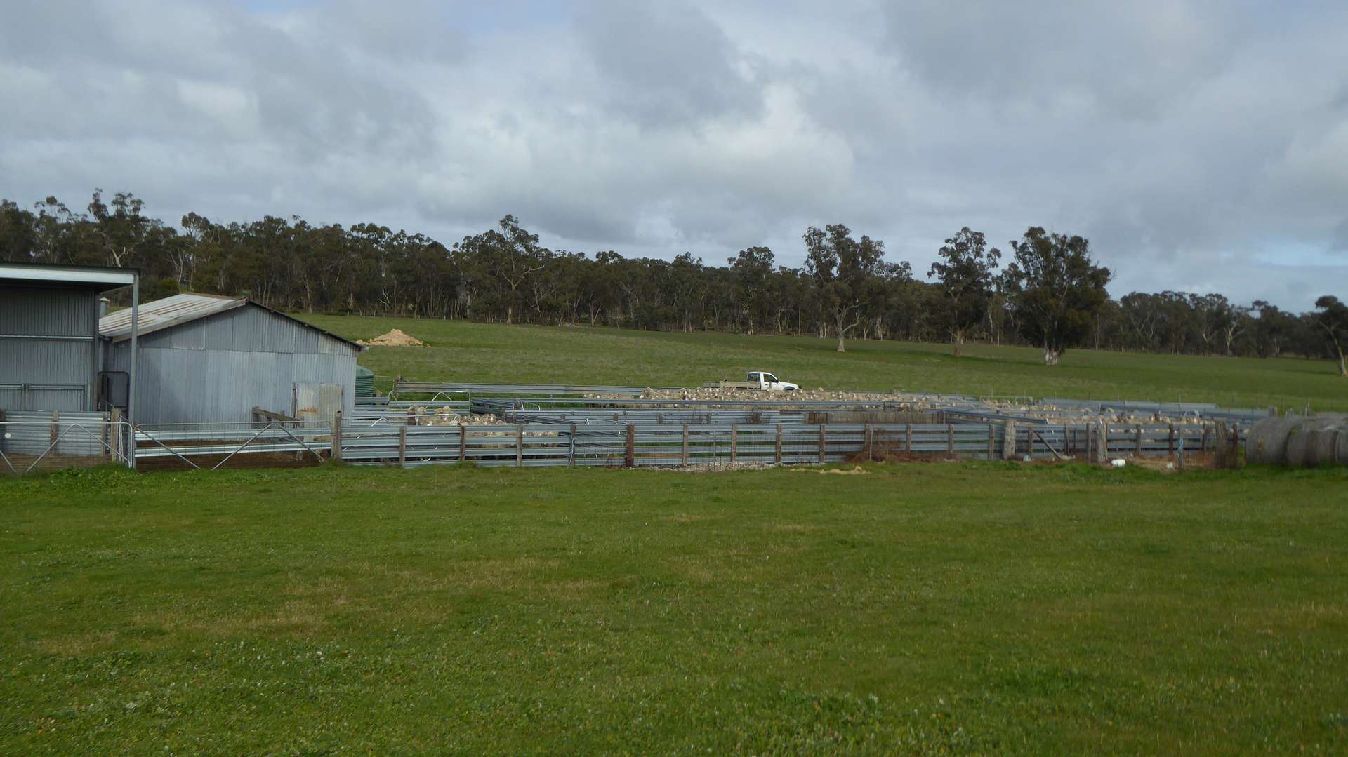 Lot 83 & 89 Walkington HIlls Road, Cadgee For Sale by Farmbuy.com - image 16