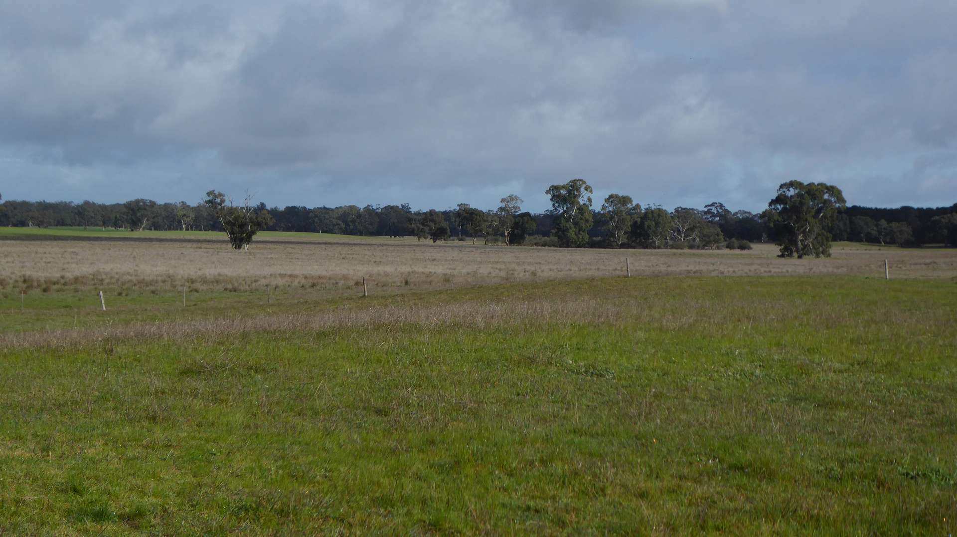 Lot 83 & 89 Walkington HIlls Road, Cadgee For Sale by Farmbuy.com - image 3
