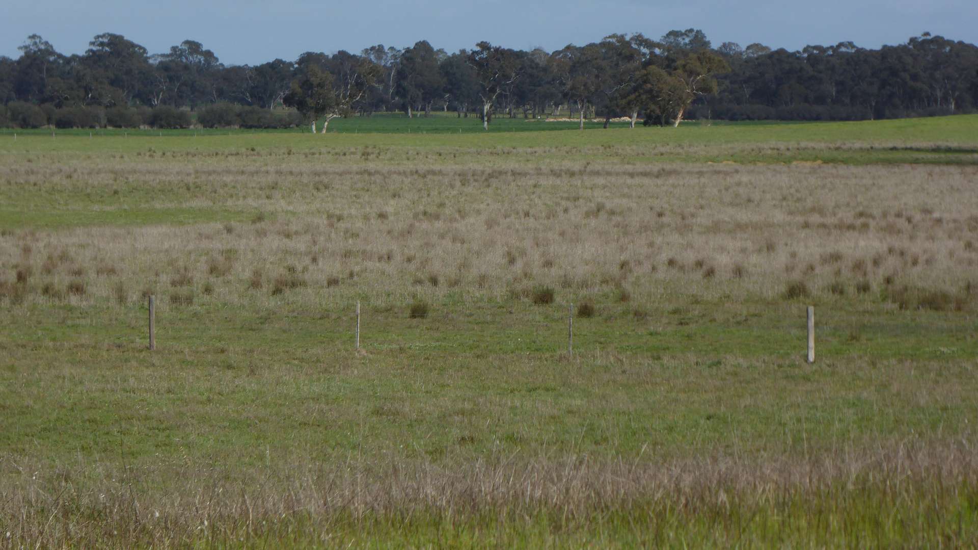 Lot 83 & 89 Walkington HIlls Road, Cadgee For Sale by Farmbuy.com - image 5
