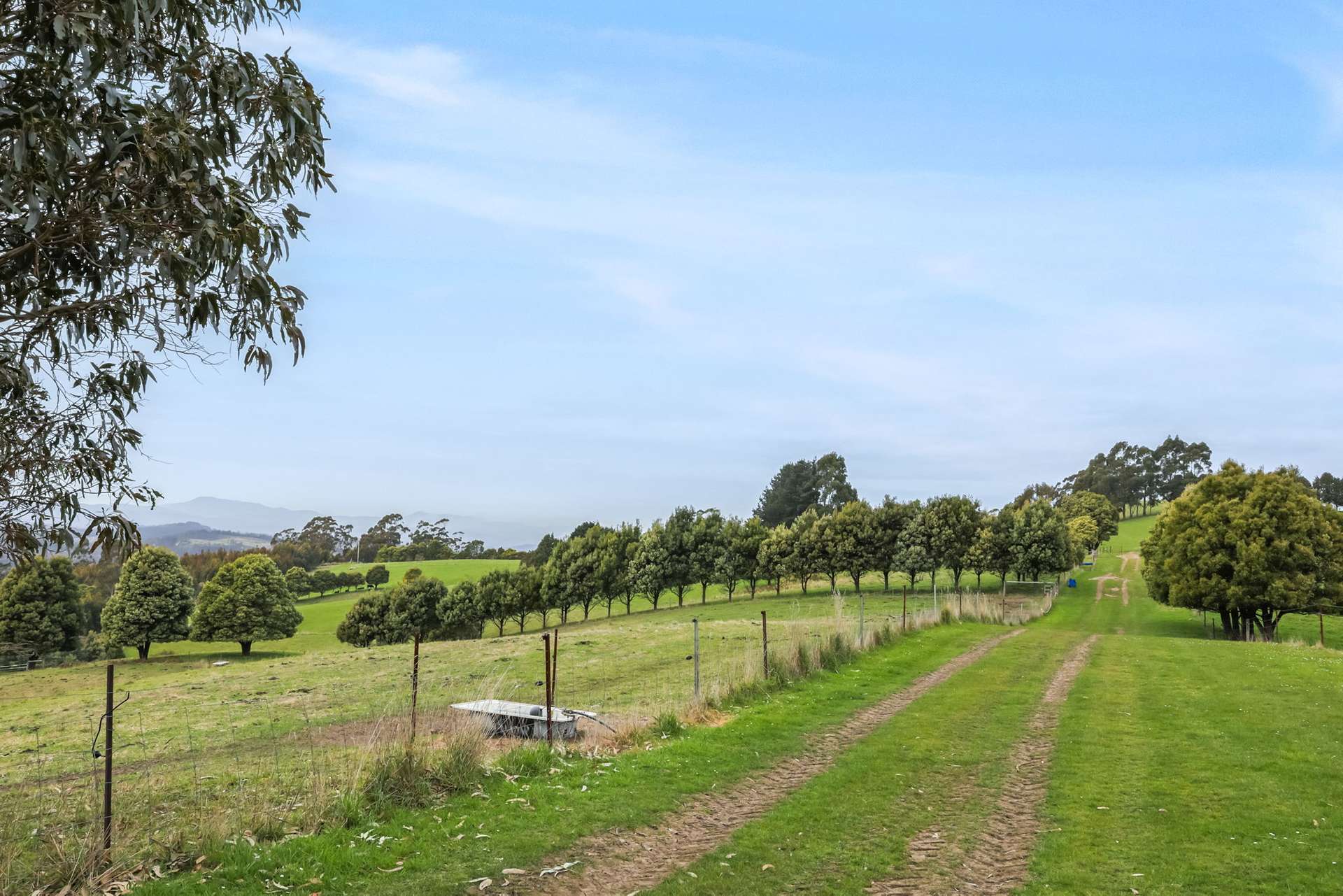 231 Settlement Road, Flowery Gully For Sale by Farmbuy.com - image 26