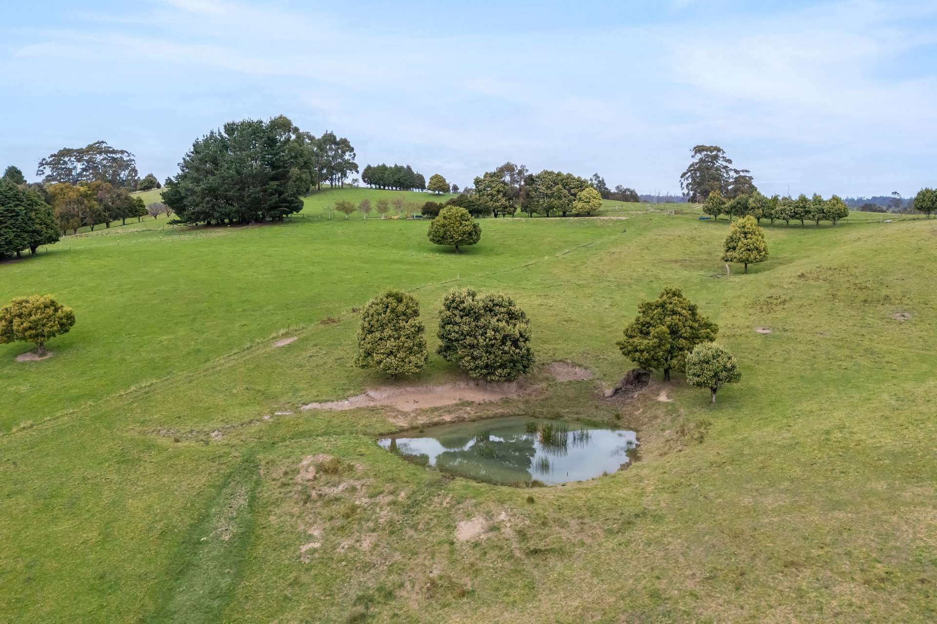 231 Settlement Road, Flowery Gully For Sale by Farmbuy.com - image 34