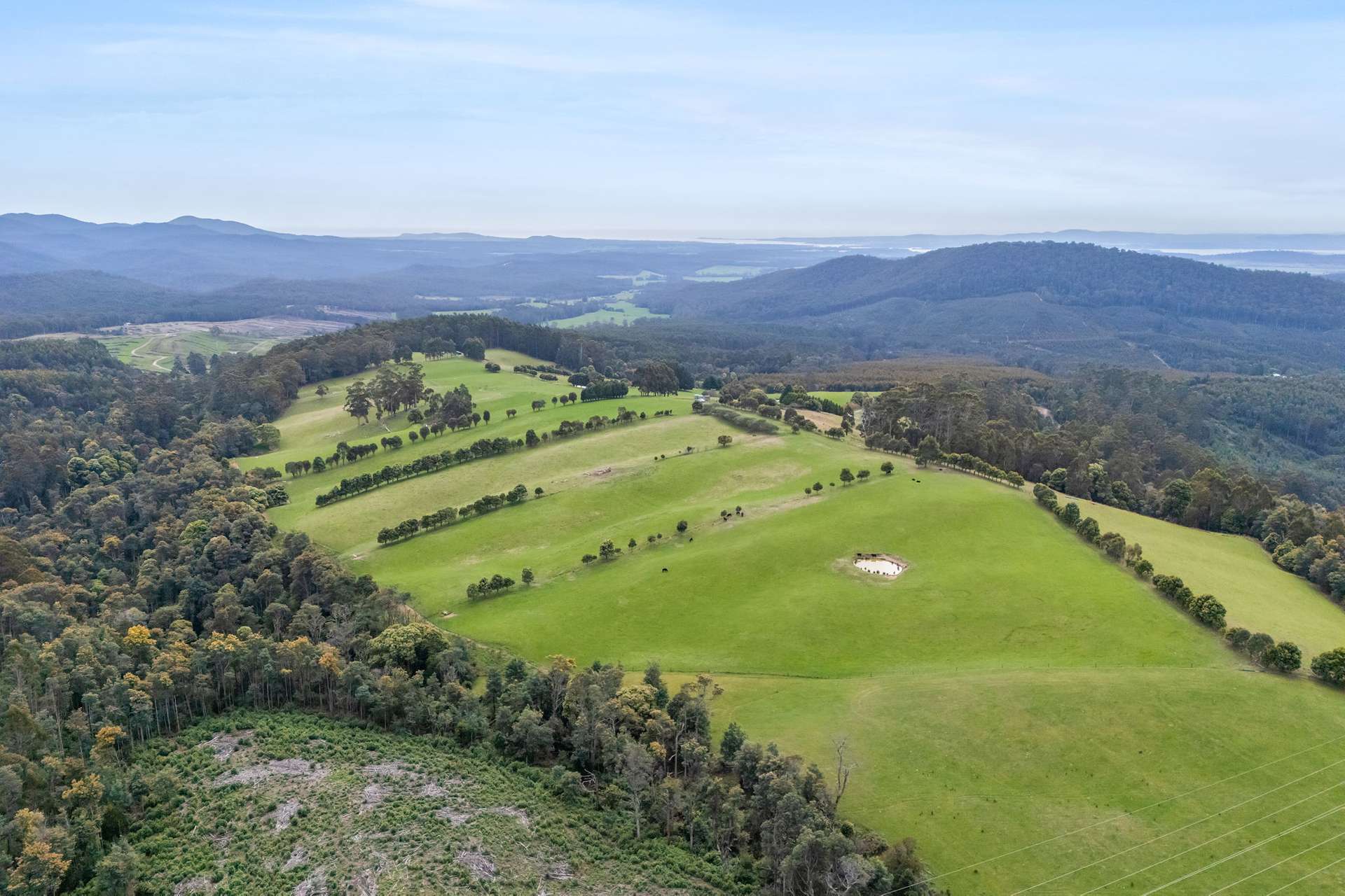 231 Settlement Road, Flowery Gully For Sale by Farmbuy.com - image 1