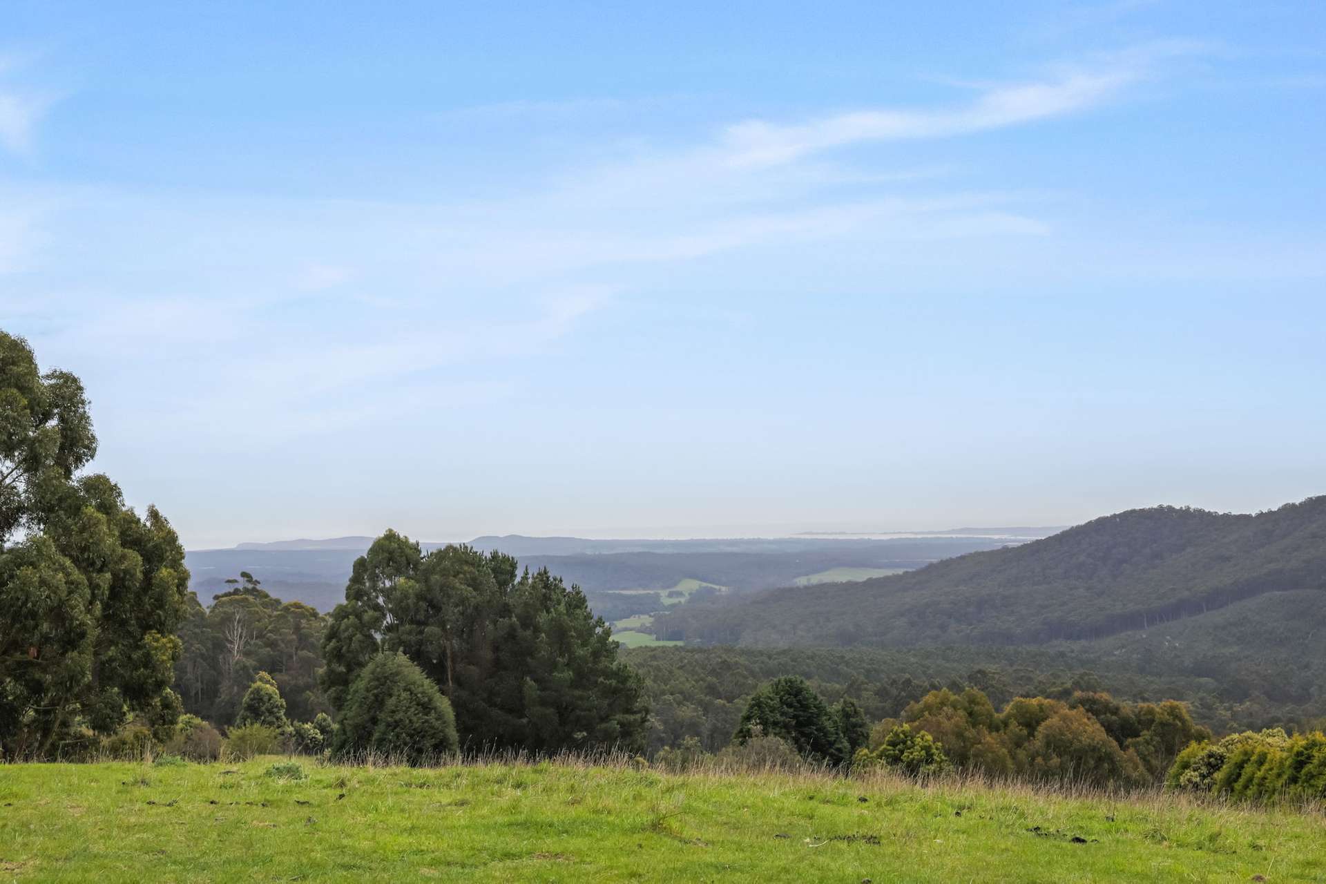 231 Settlement Road, Flowery Gully For Sale by Farmbuy.com - image 29