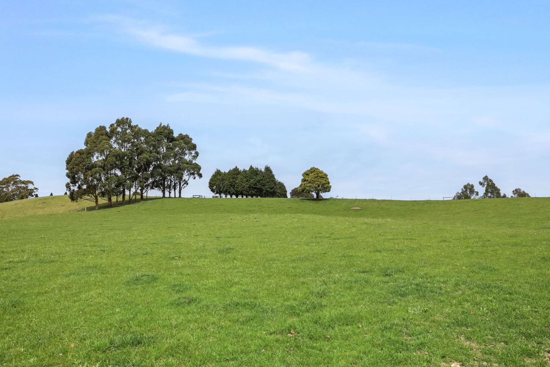 231 Settlement Road, Flowery Gully For Sale by Farmbuy.com - image 30