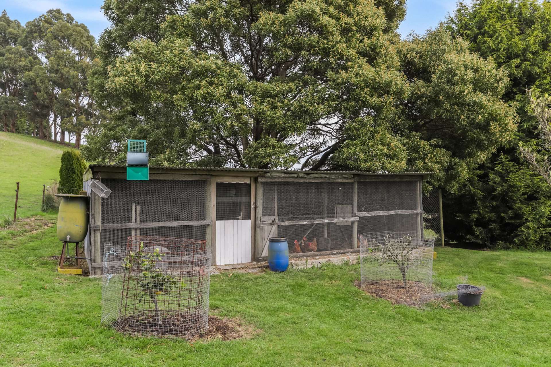 231 Settlement Road, Flowery Gully For Sale by Farmbuy.com - image 18