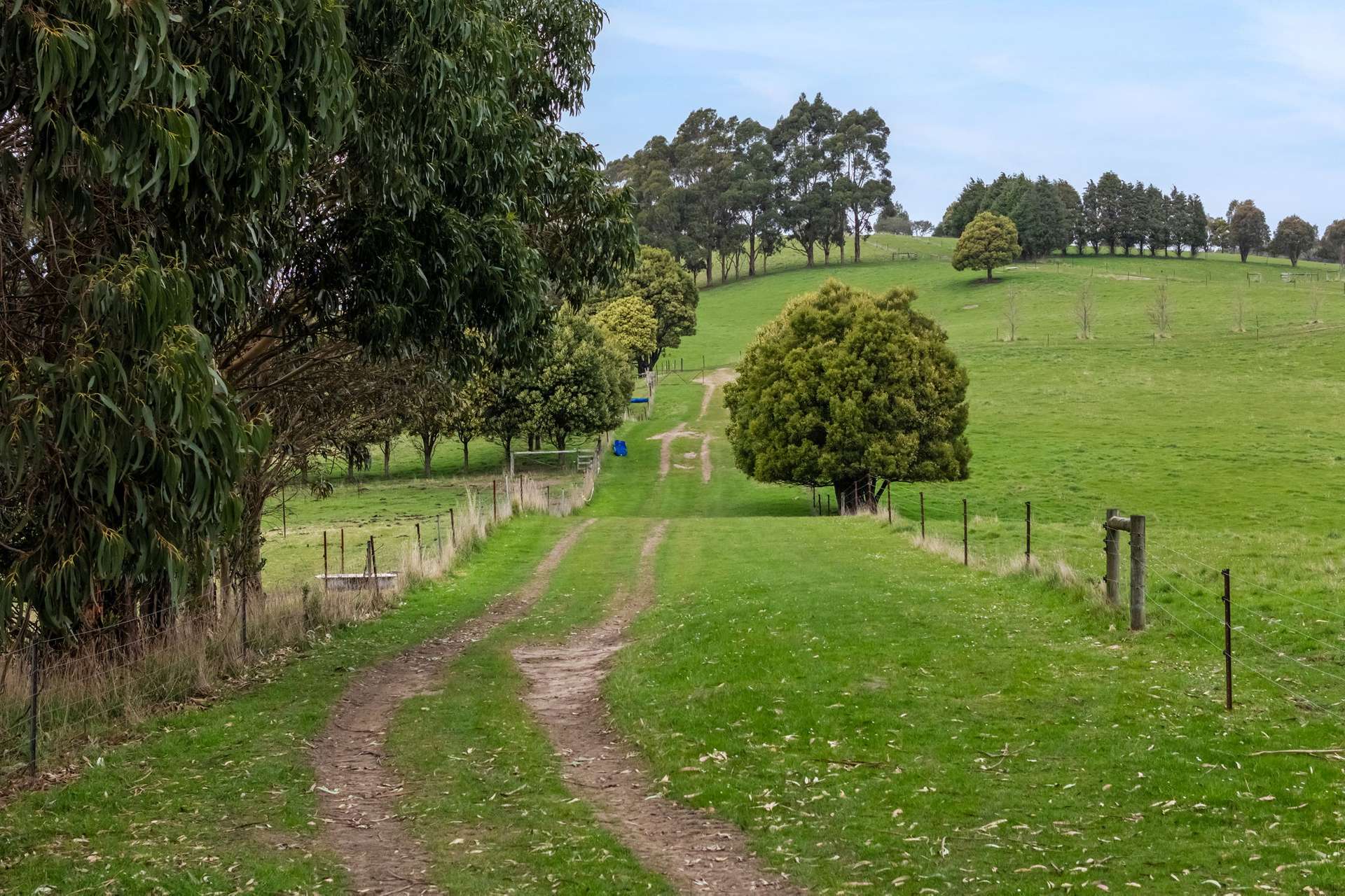 231 Settlement Road, Flowery Gully For Sale by Farmbuy.com - image 35