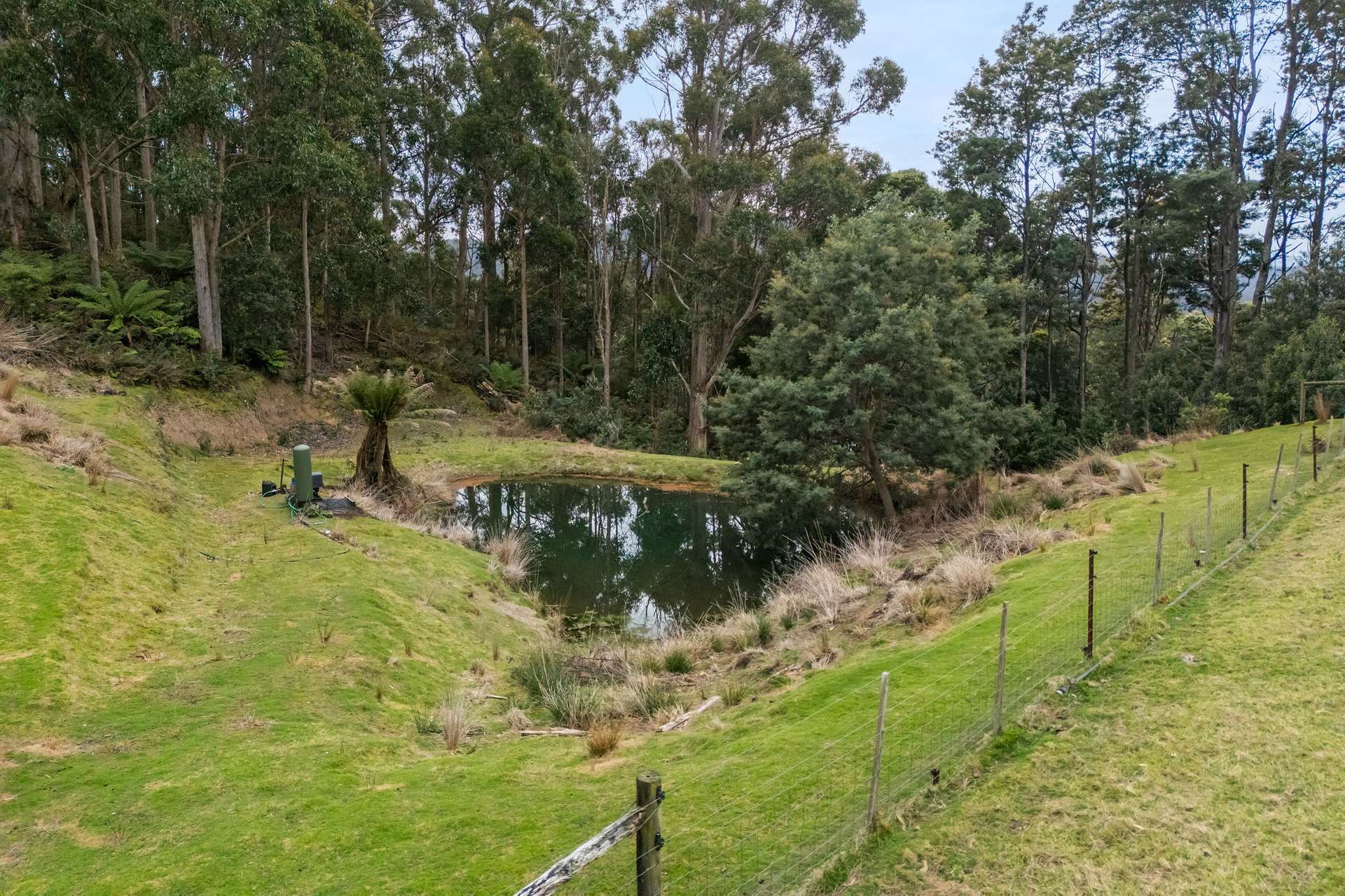 231 Settlement Road, Flowery Gully For Sale by Farmbuy.com - image 33