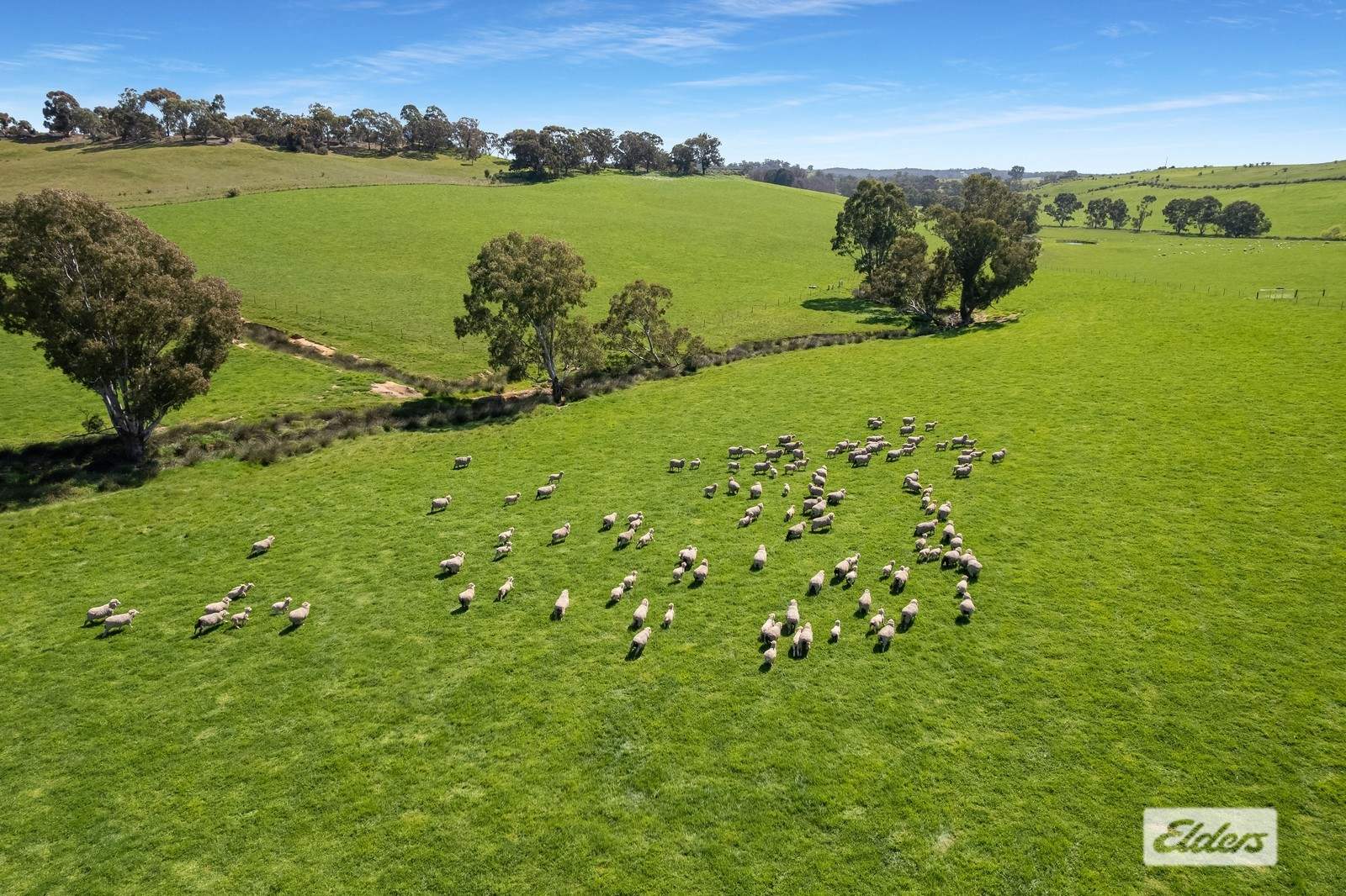 139 Wedge Gully Road, Redesdale For Sale by Farmbuy.com - image 7