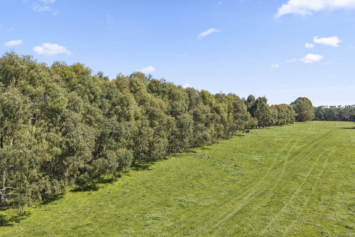 Browns Road, Timboon For Sale by Farmbuy.com - image 6