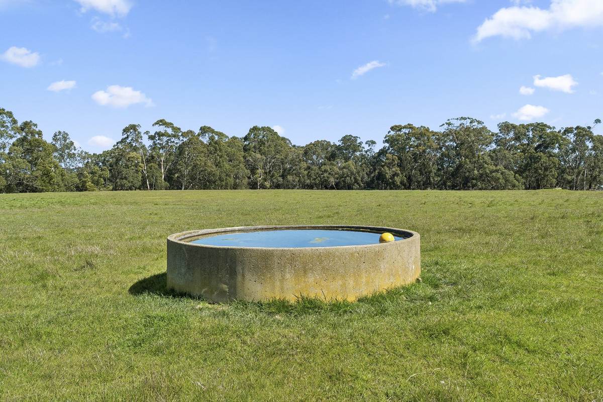 Browns Road, Timboon For Sale by Farmbuy.com - image 9
