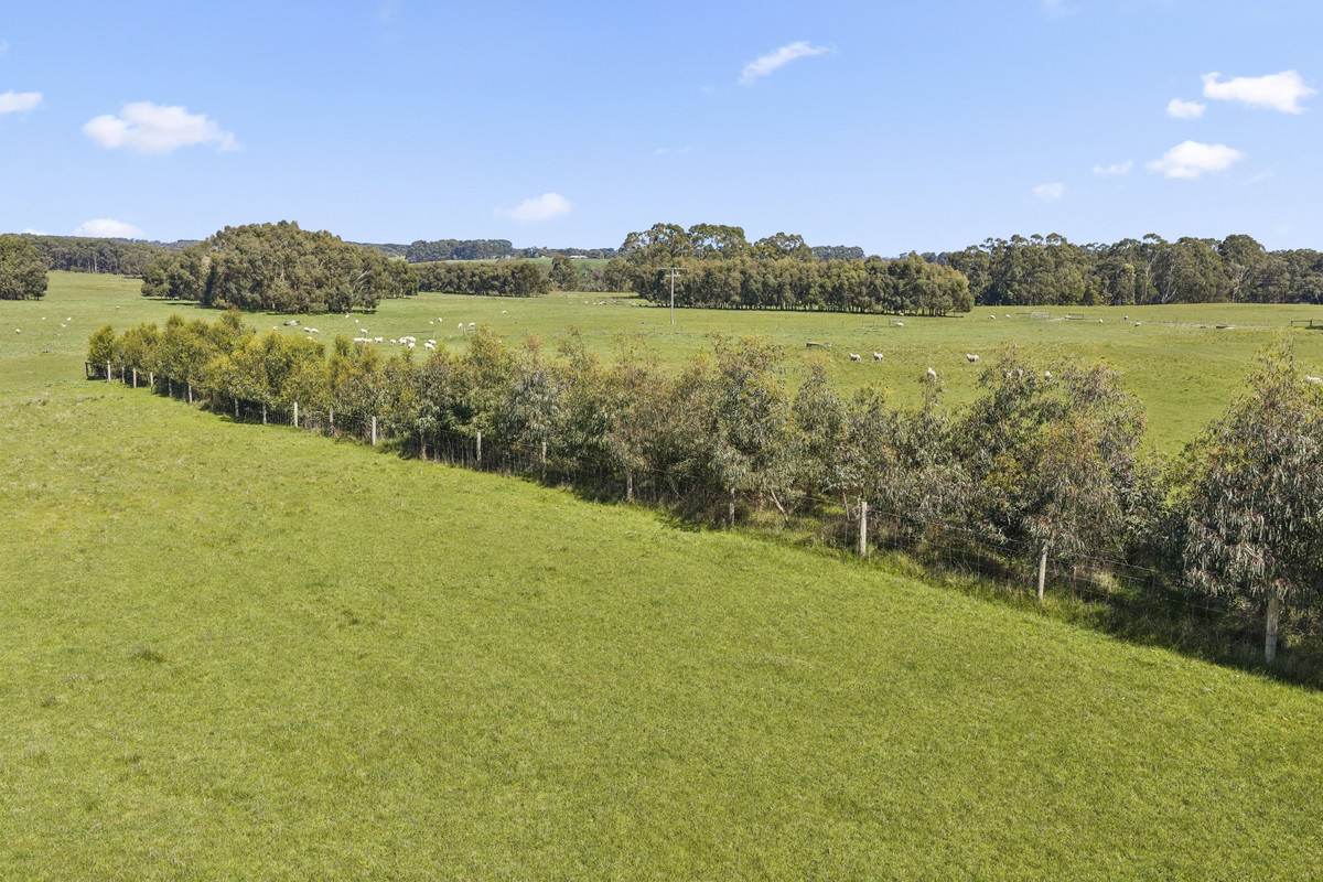 Browns Road, Timboon For Sale by Farmbuy.com - image 5