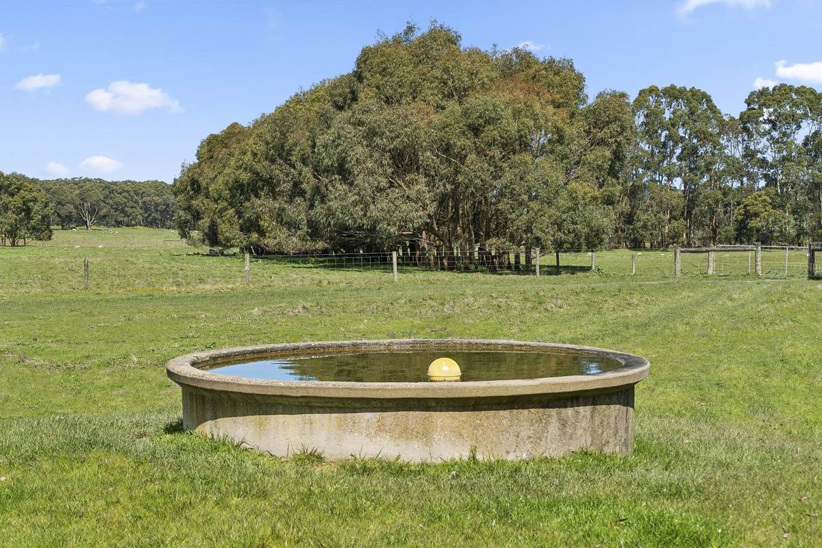 Browns Road, Timboon For Sale by Farmbuy.com - image 7