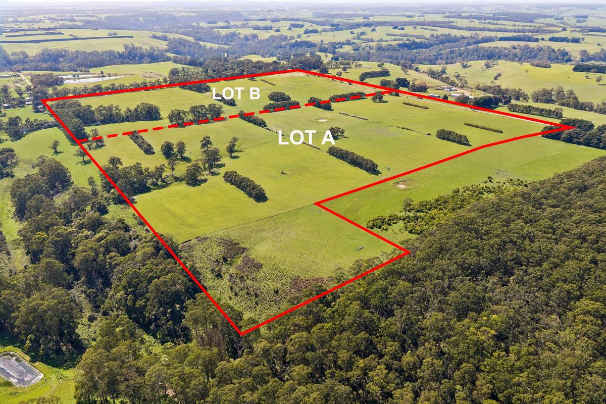 Browns Road, Timboon For Sale by Farmbuy.com - image 4