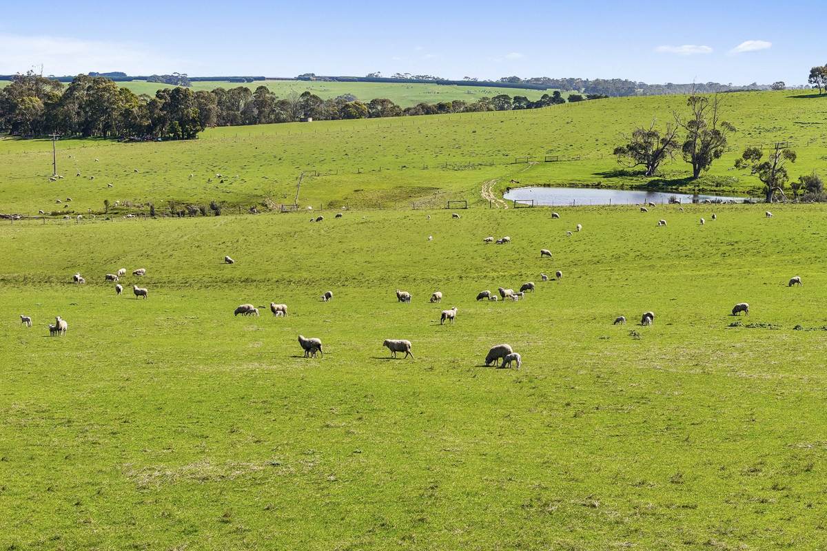 Digneys Bridge Road, Timboon For Sale by Farmbuy.com - image 12