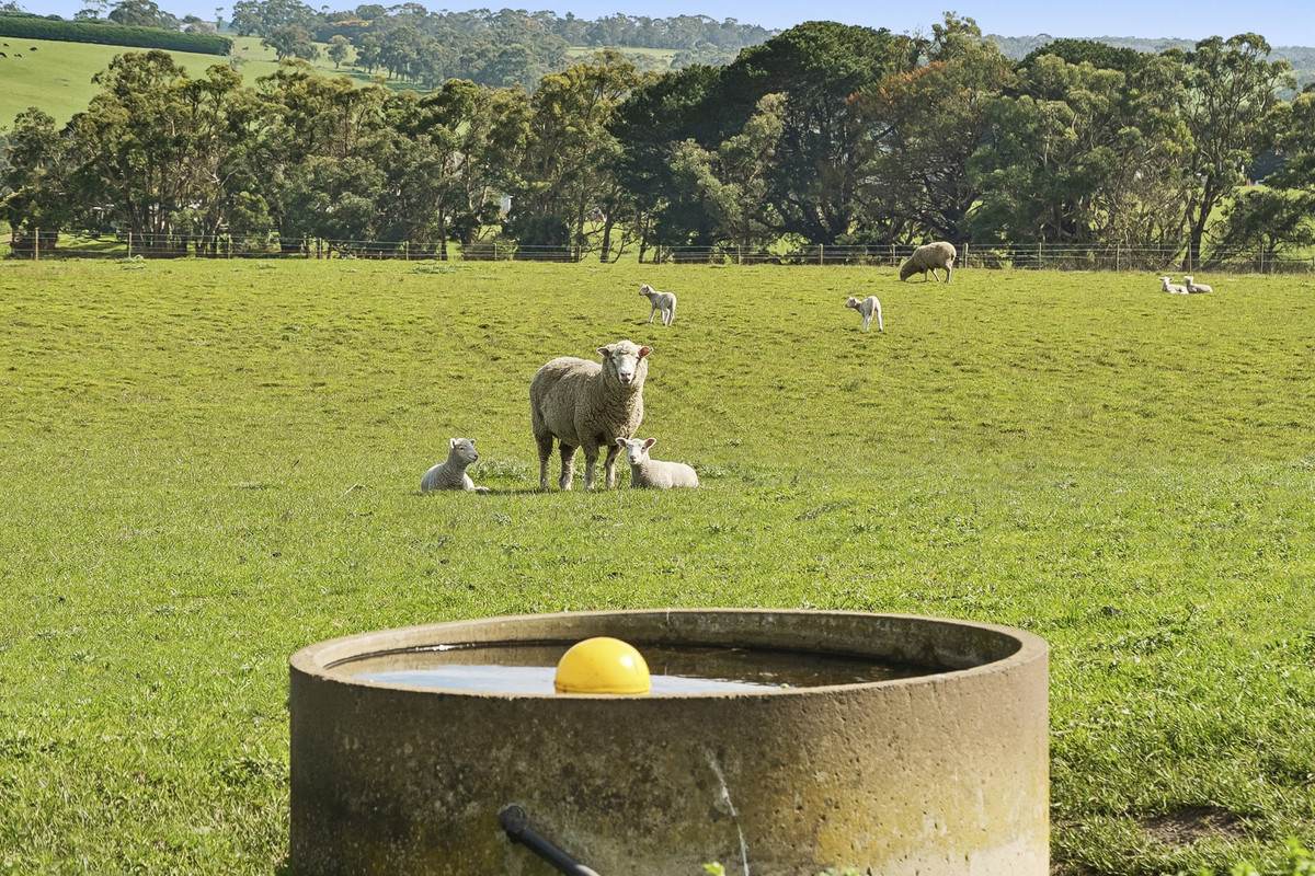 Digneys Bridge Road, Timboon For Sale by Farmbuy.com - image 9