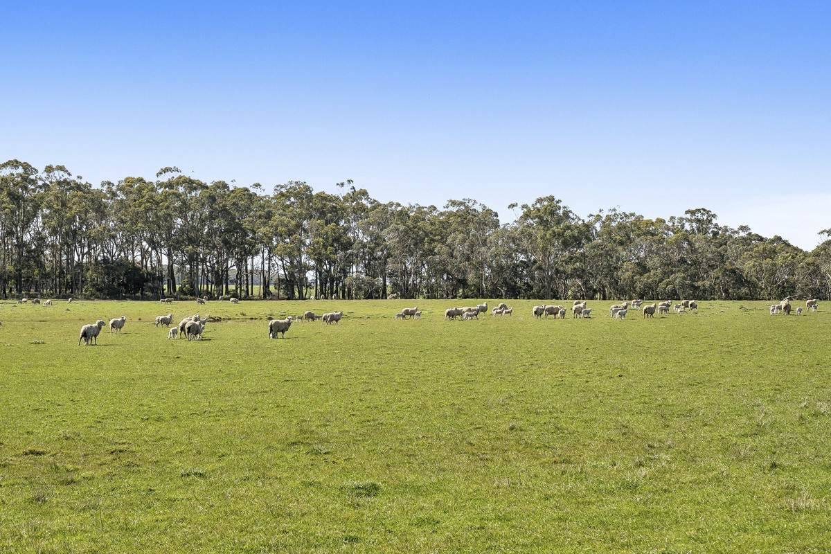 Digneys Bridge Road, Timboon For Sale by Farmbuy.com - image 11