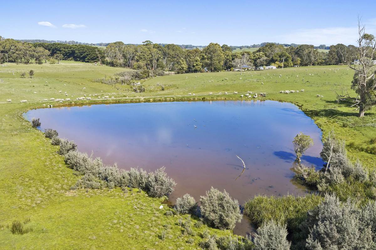 Digneys Bridge Road, Timboon For Sale by Farmbuy.com - image 4