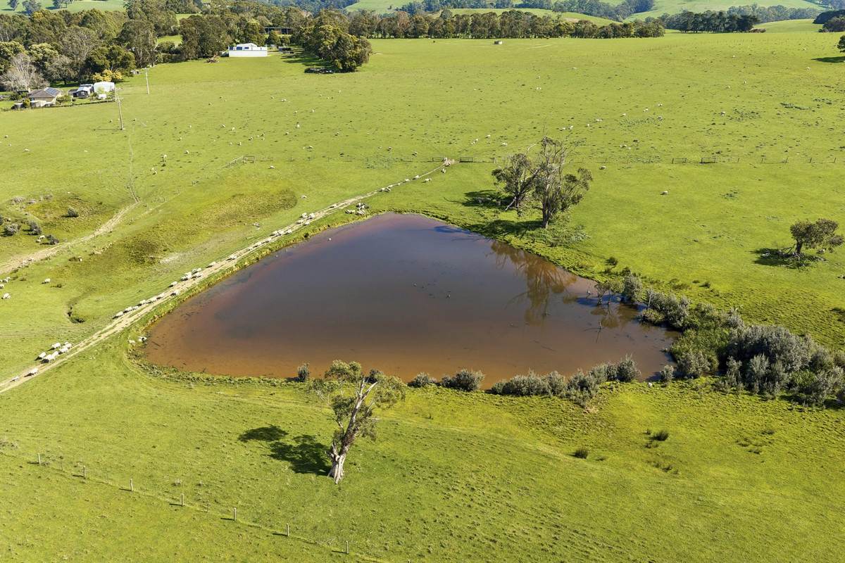 Digneys Bridge Road, Timboon For Sale by Farmbuy.com - image 10