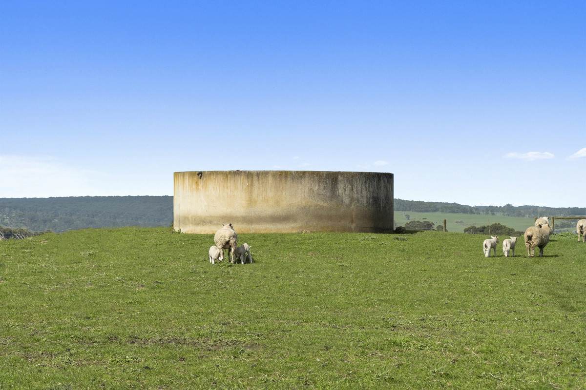 Digneys Bridge Road, Timboon For Sale by Farmbuy.com - image 8