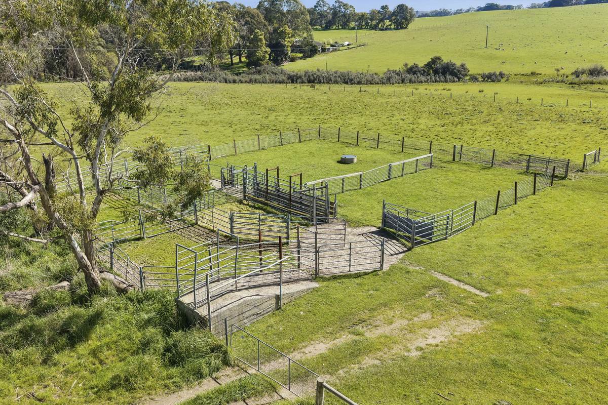 Digneys Bridge Road, Timboon For Sale by Farmbuy.com - image 5