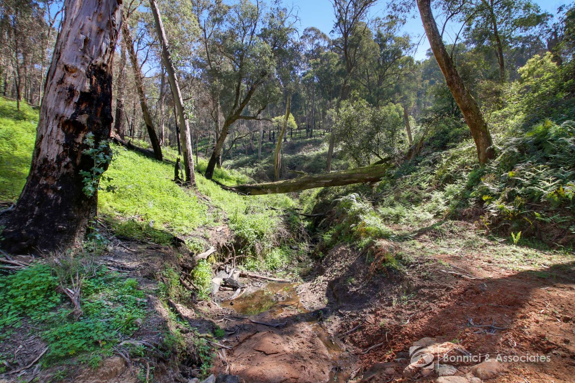 596 Firebrace Track, Granya For Sale by Farmbuy.com - image 26