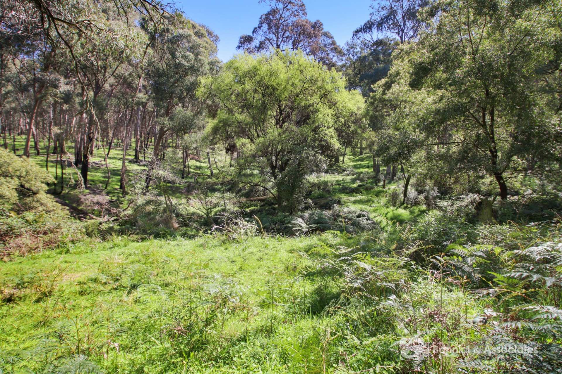 596 Firebrace Track, Granya For Sale by Farmbuy.com - image 24