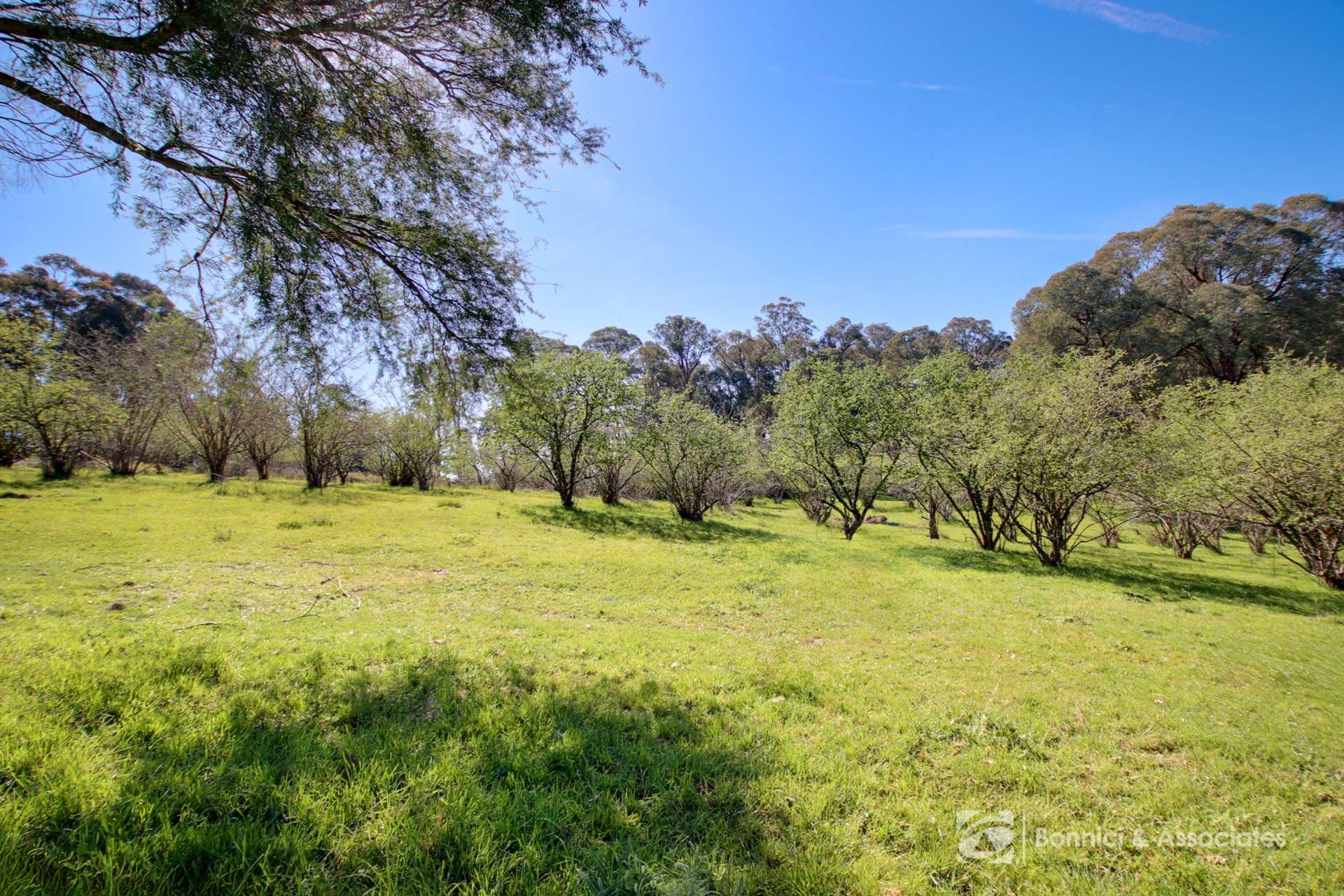 596 Firebrace Track, Granya For Sale by Farmbuy.com - image 19