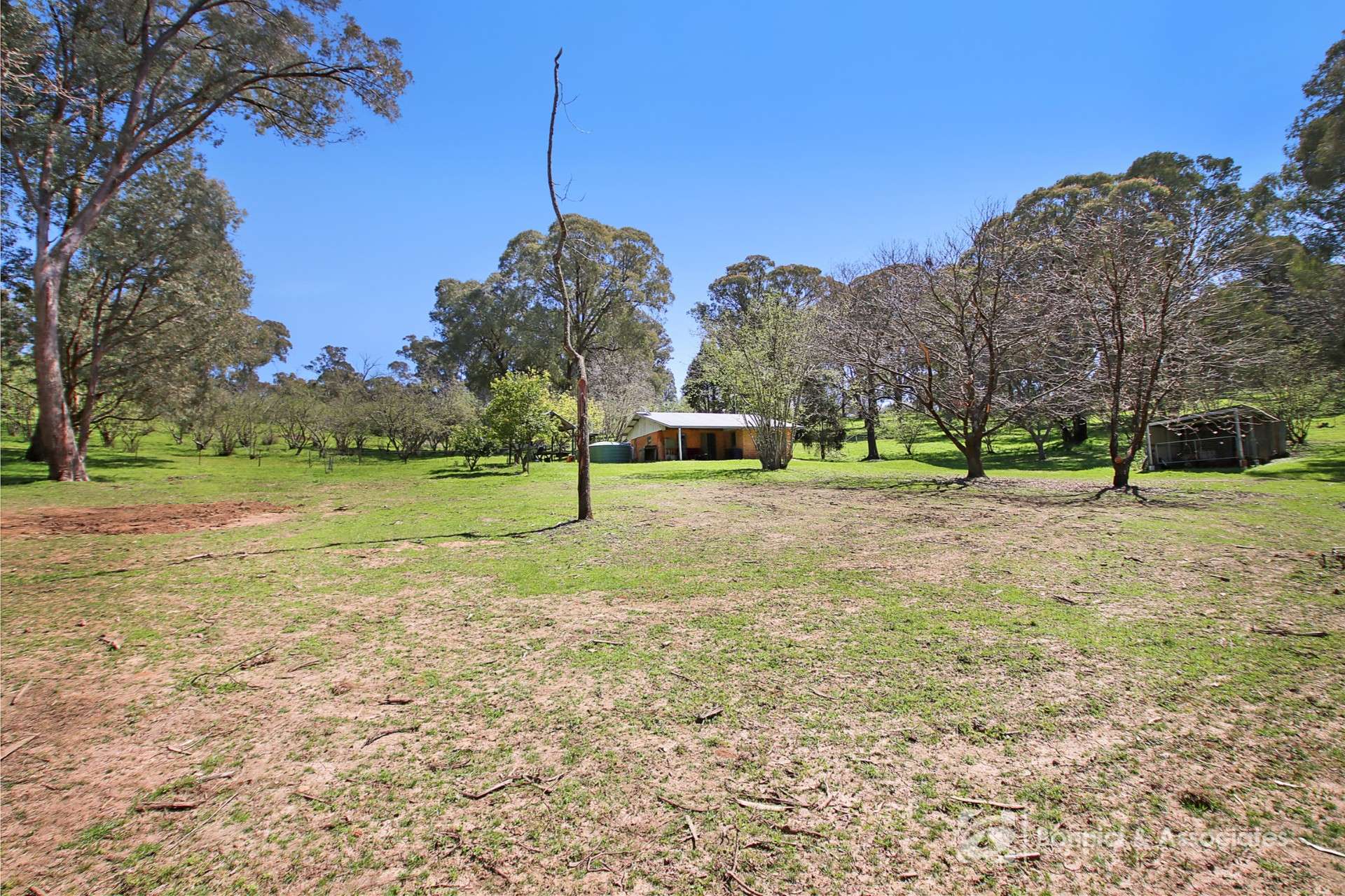 596 Firebrace Track, Granya For Sale by Farmbuy.com - image 17