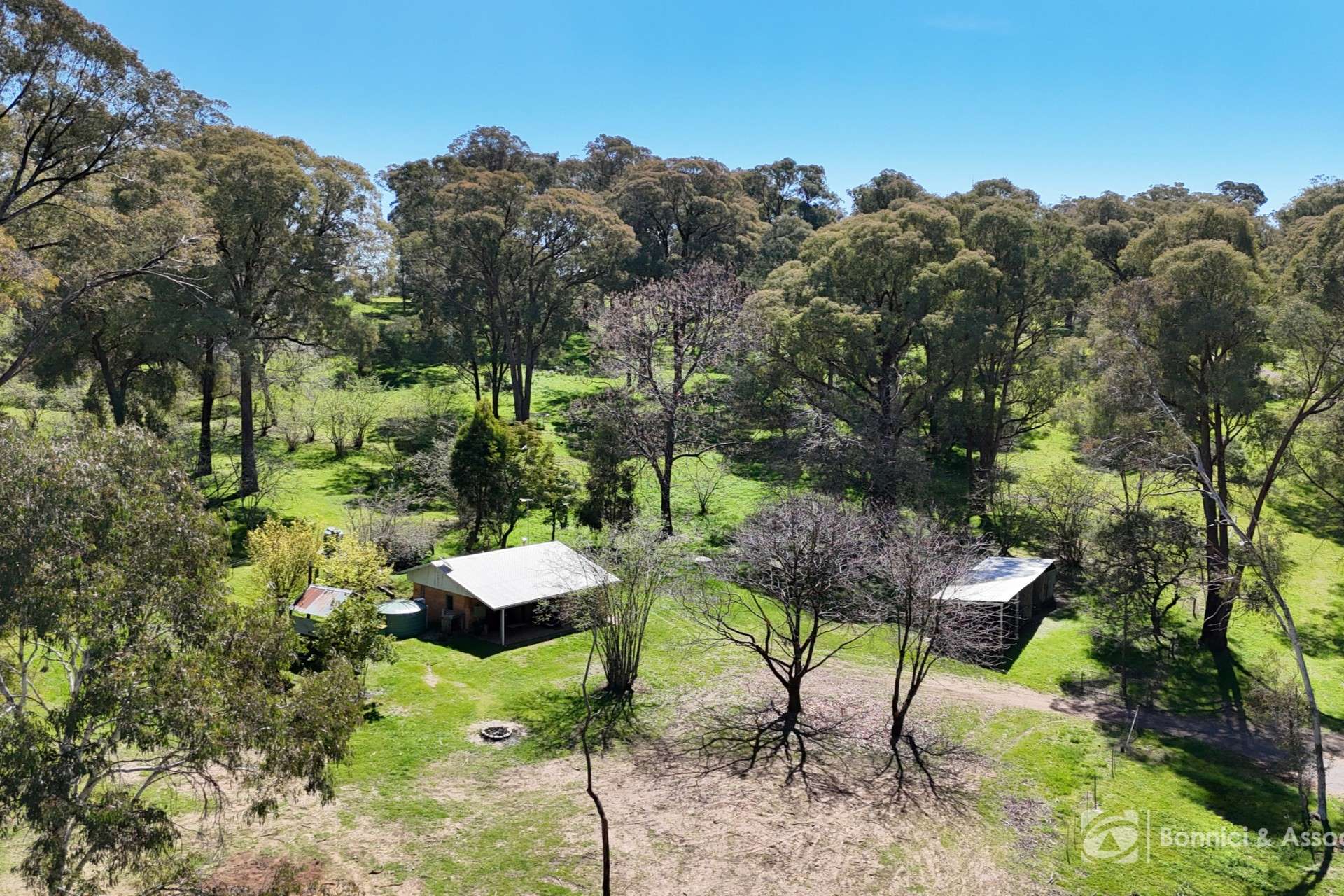 596 Firebrace Track, Granya For Sale by Farmbuy.com - image 30