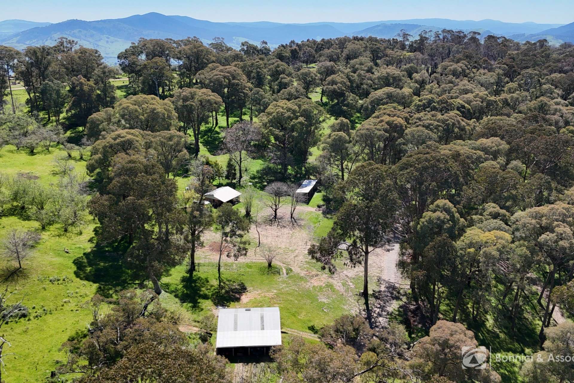 596 Firebrace Track, Granya For Sale by Farmbuy.com - image 28