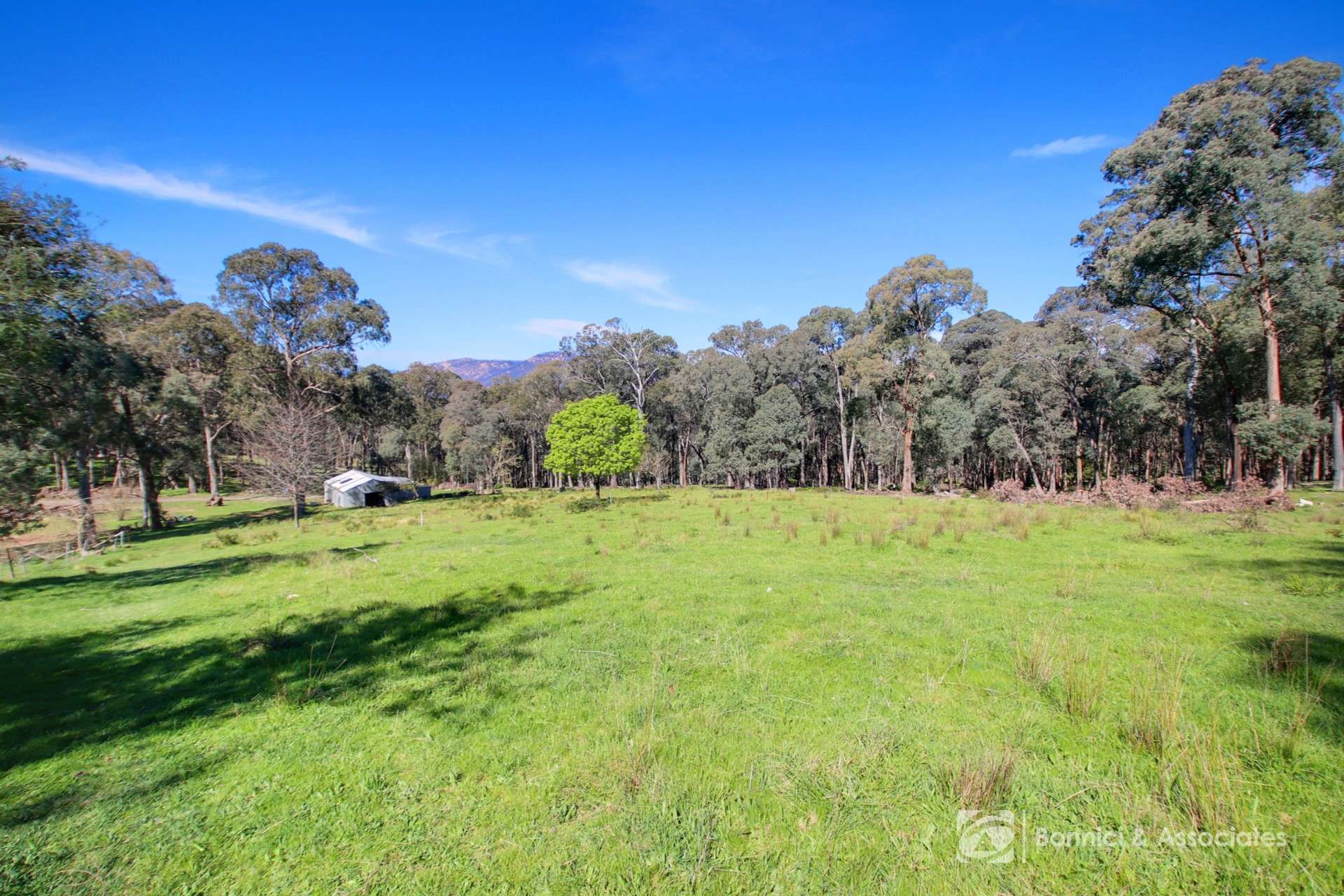 596 Firebrace Track, Granya For Sale by Farmbuy.com - image 15