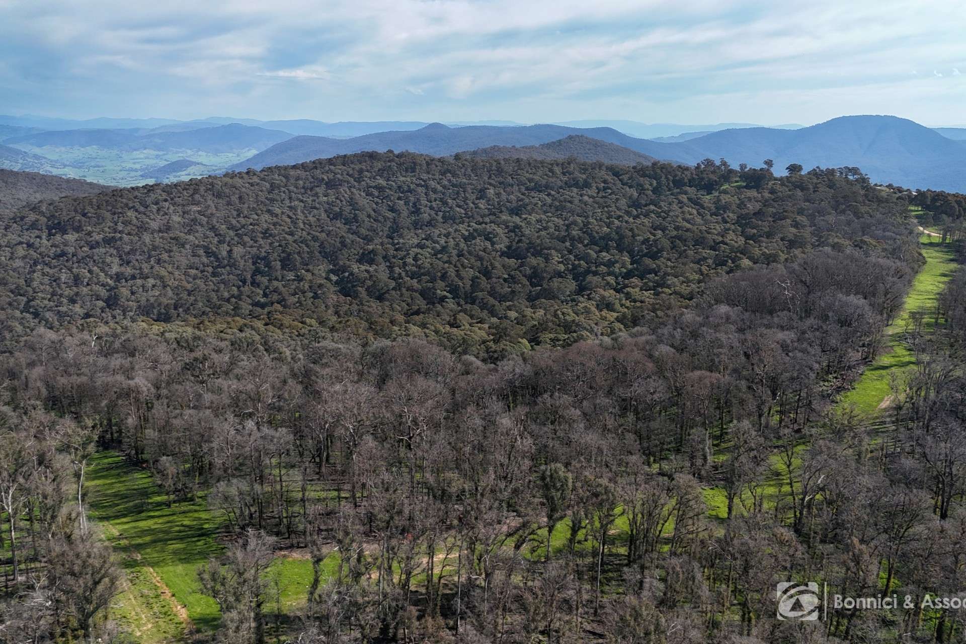 596 Firebrace Track, Granya For Sale by Farmbuy.com - image 34