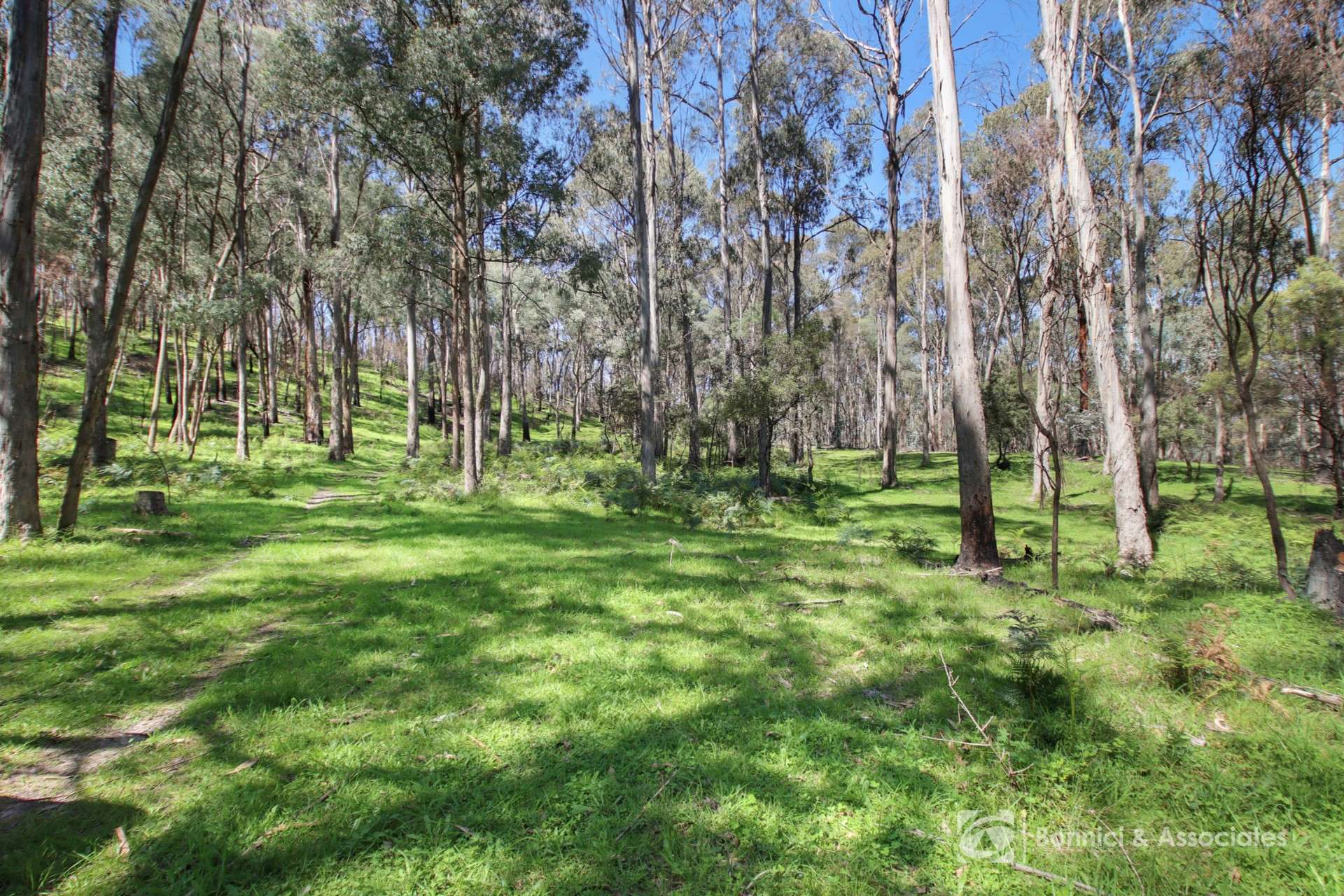 596 Firebrace Track, Granya For Sale by Farmbuy.com - image 22