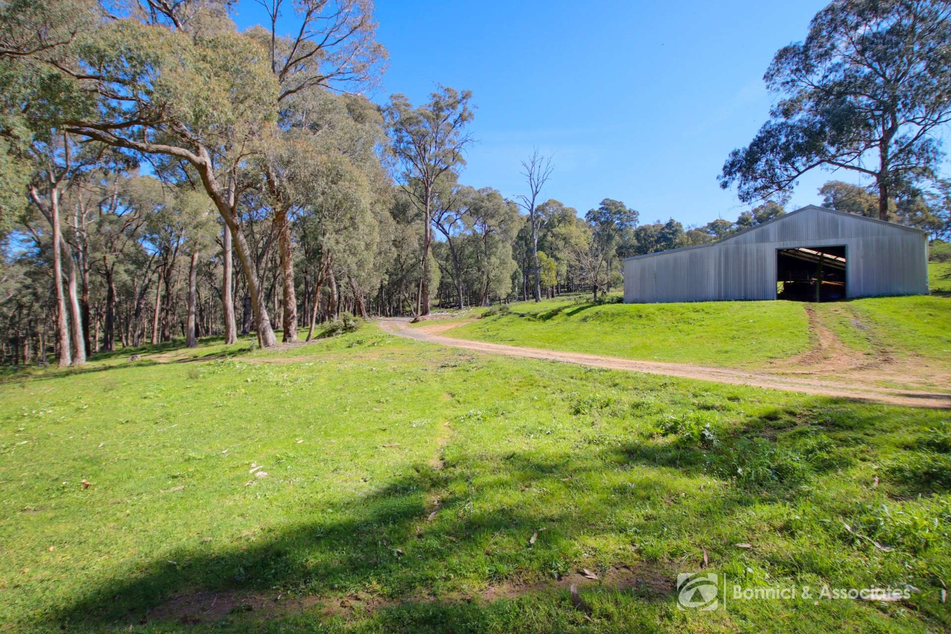 596 Firebrace Track, Granya For Sale by Farmbuy.com - image 14
