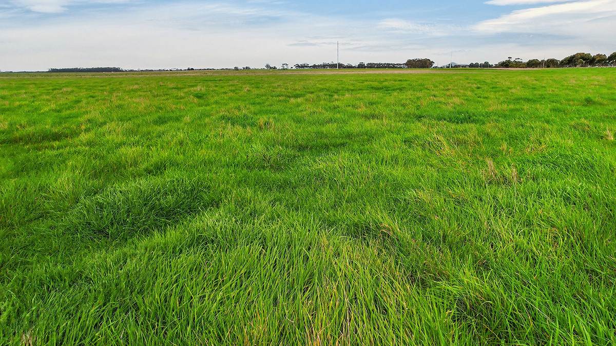 'Baroona' 33 North Road, Mortlake For Sale by Farmbuy.com - image 11