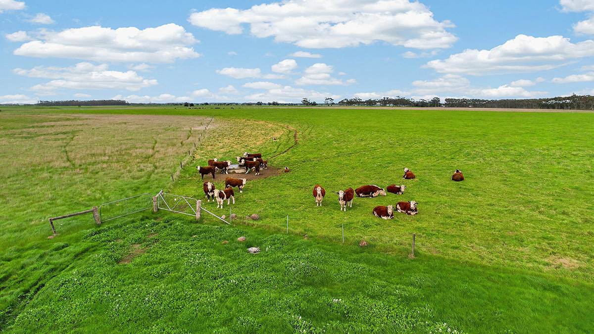 'Baroona' 33 North Road, Mortlake For Sale by Farmbuy.com - image 12