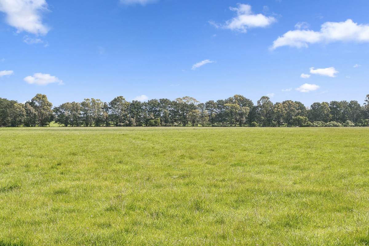 Armytage Road, Winchelsea For Sale by Farmbuy.com - image 14