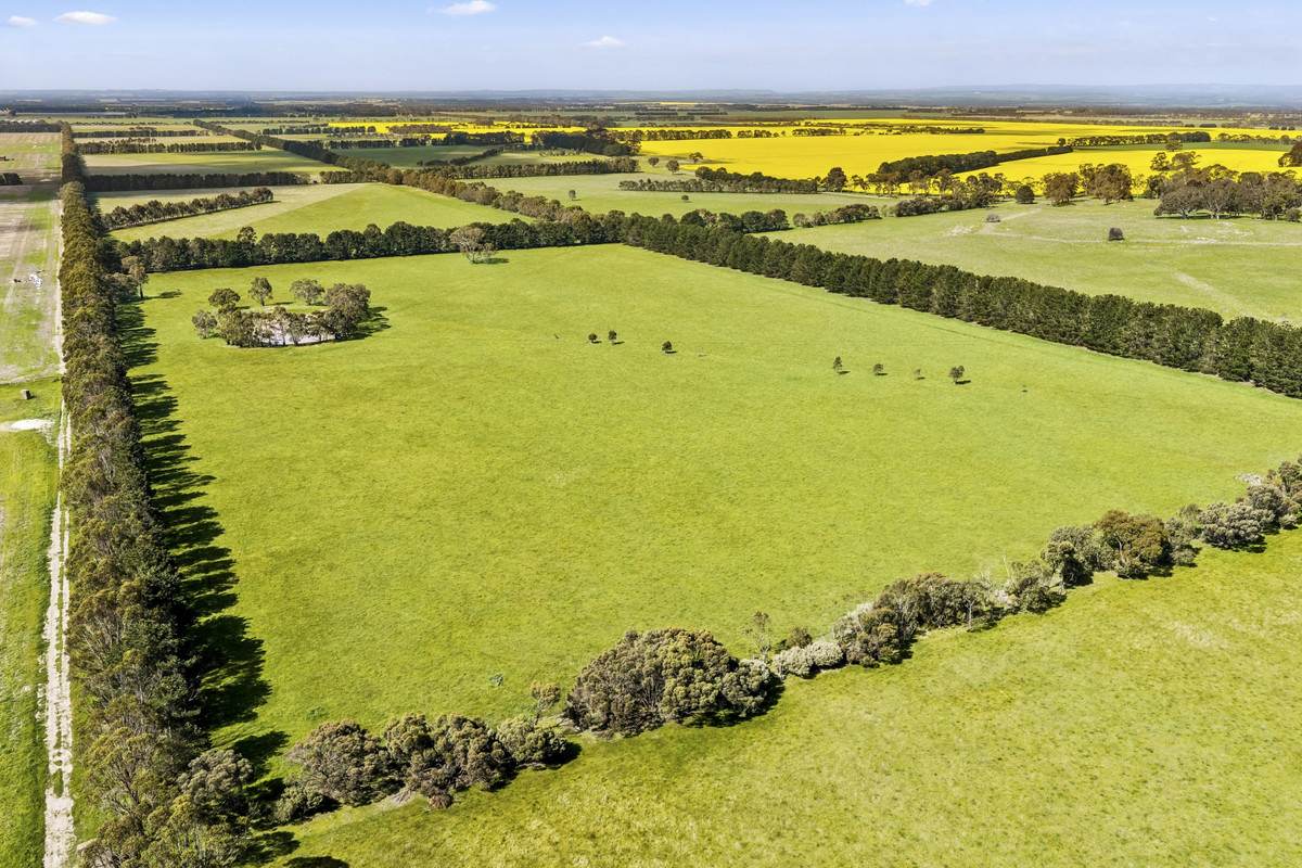 Armytage Road, Winchelsea For Sale by Farmbuy.com - image 4