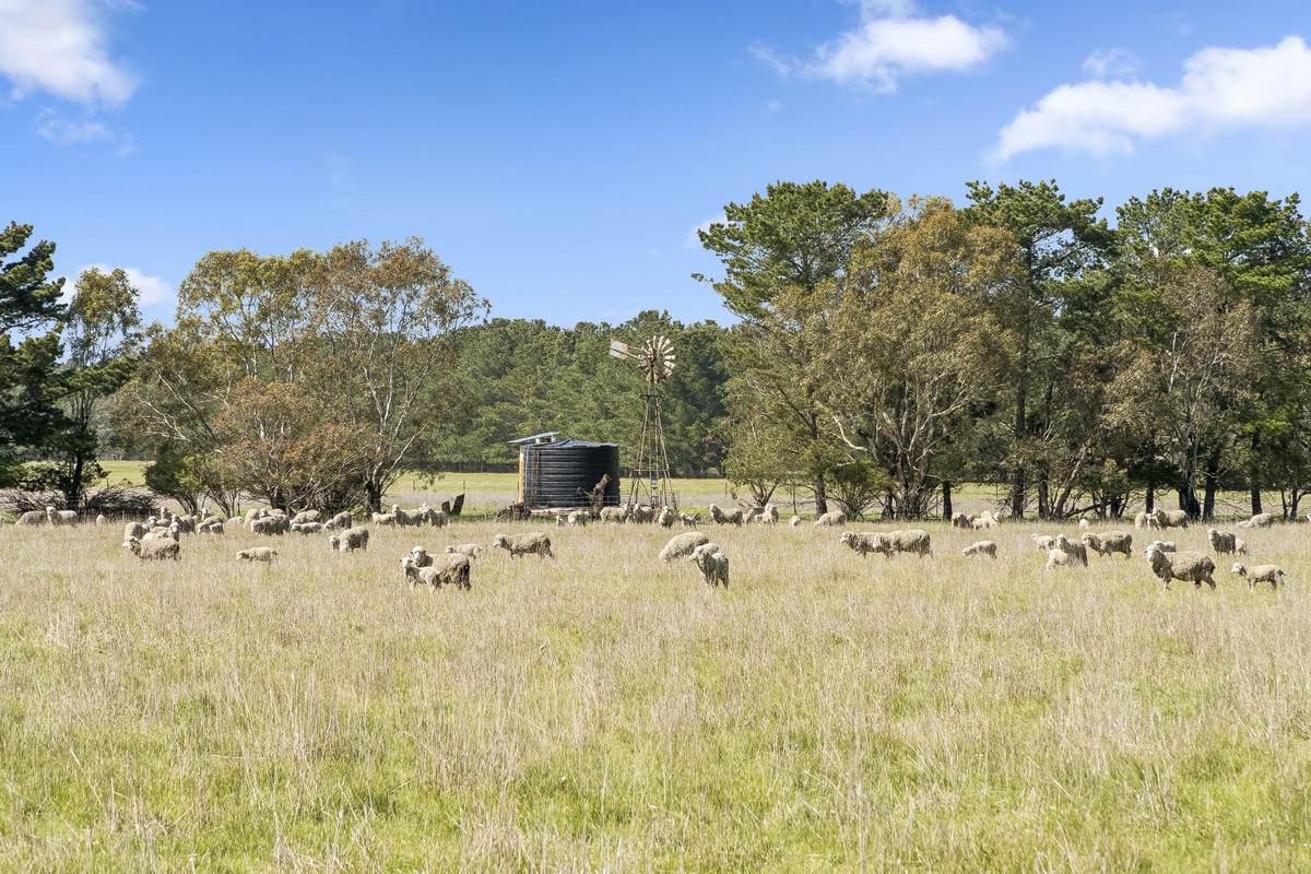 Armytage Road, Winchelsea For Sale by Farmbuy.com - image 13