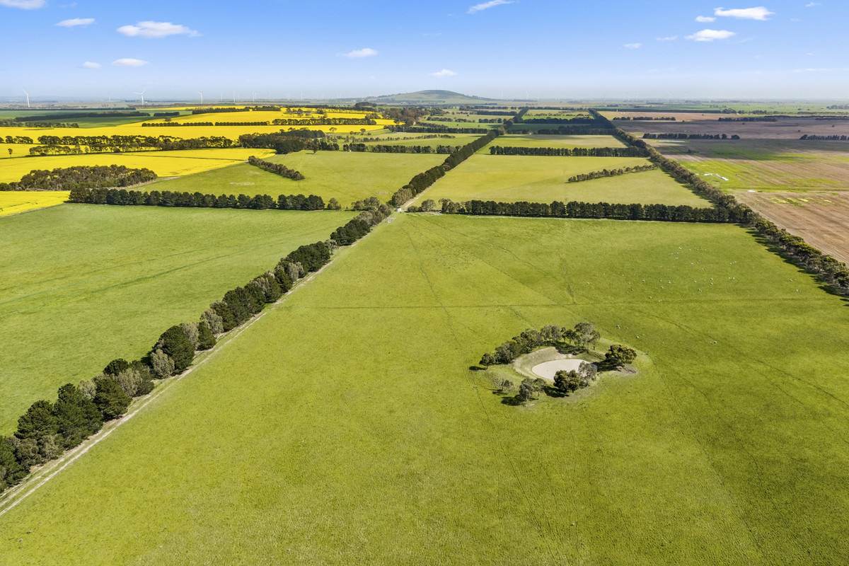 Armytage Road, Winchelsea For Sale by Farmbuy.com - image 8