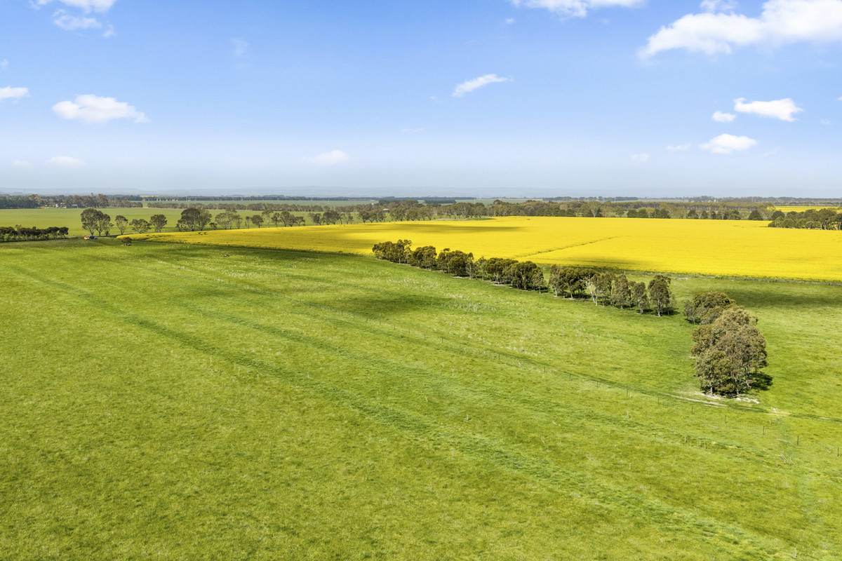 Armytage Road, Winchelsea For Sale by Farmbuy.com - image 11